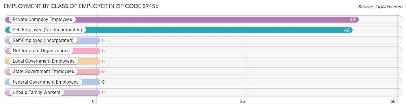 Employment by Class of Employer in Zip Code 59456