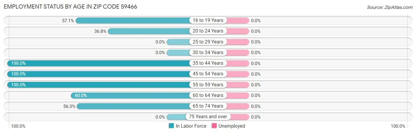 Employment Status by Age in Zip Code 59466