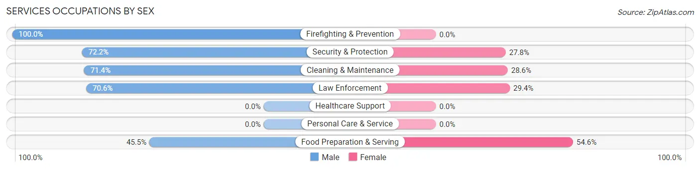 Services Occupations by Sex in Zip Code 59482