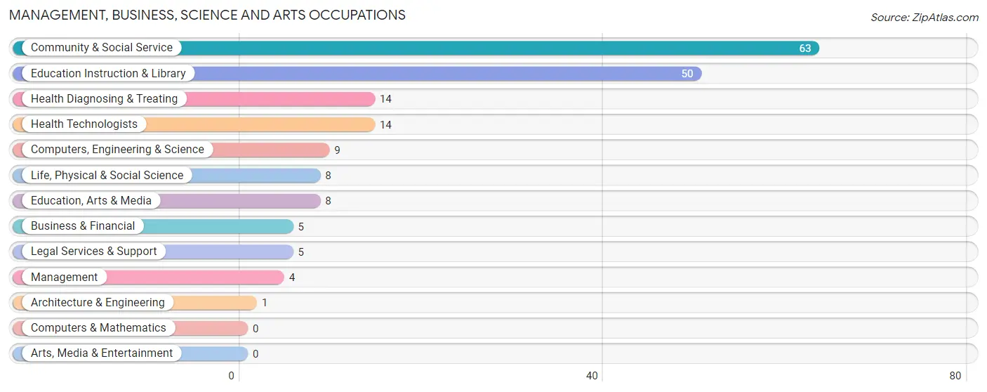 Management, Business, Science and Arts Occupations in Zip Code 59487