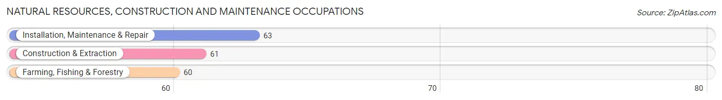 Natural Resources, Construction and Maintenance Occupations in Zip Code 59523