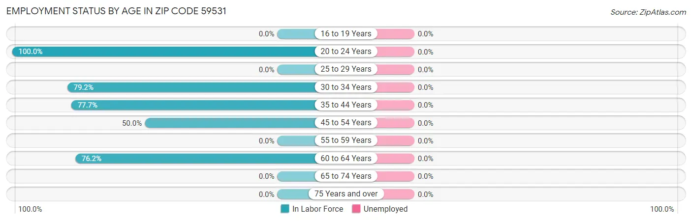 Employment Status by Age in Zip Code 59531