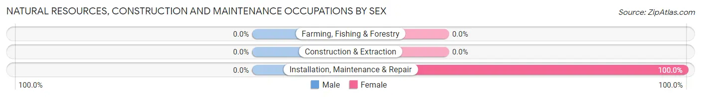 Natural Resources, Construction and Maintenance Occupations by Sex in Zip Code 59531