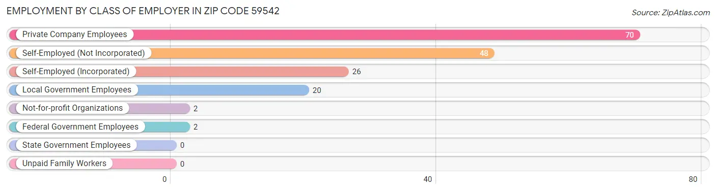 Employment by Class of Employer in Zip Code 59542