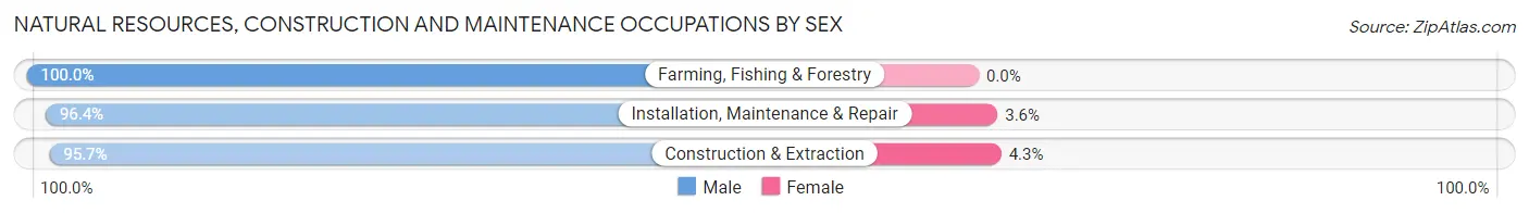 Natural Resources, Construction and Maintenance Occupations by Sex in Zip Code 59634