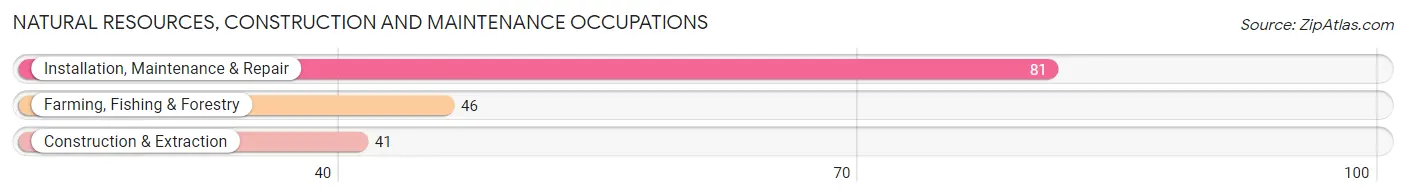 Natural Resources, Construction and Maintenance Occupations in Zip Code 59643