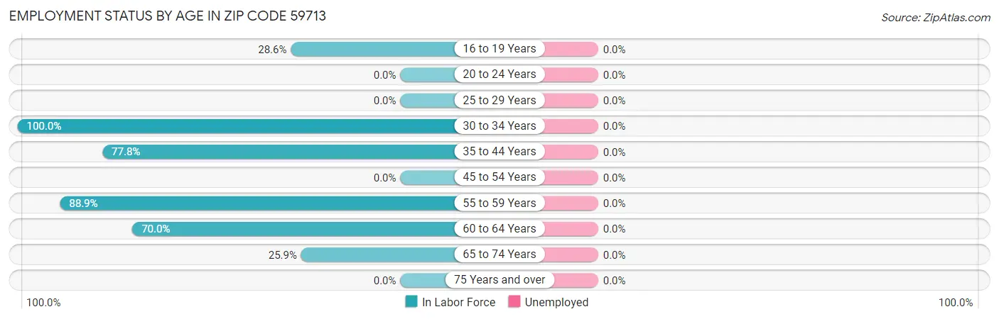 Employment Status by Age in Zip Code 59713