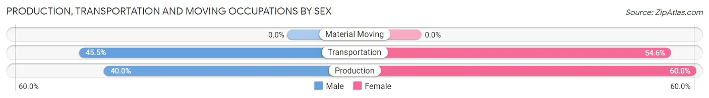 Production, Transportation and Moving Occupations by Sex in Zip Code 59728