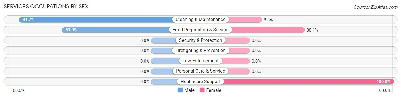 Services Occupations by Sex in Zip Code 59728