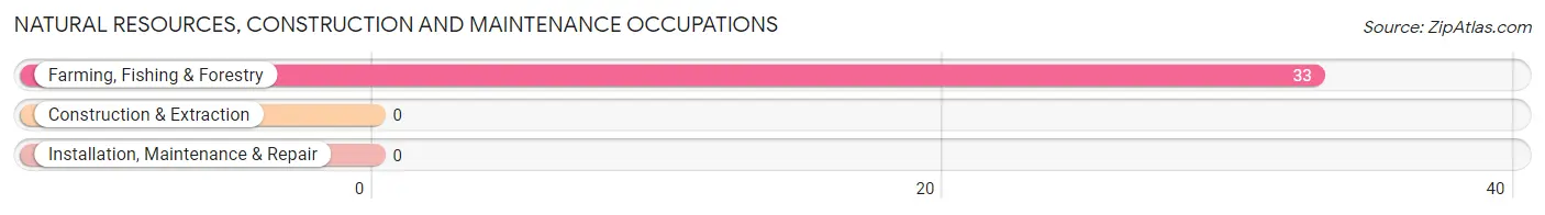 Natural Resources, Construction and Maintenance Occupations in Zip Code 59740