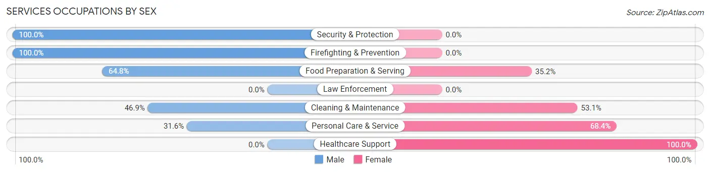 Services Occupations by Sex in Zip Code 59741