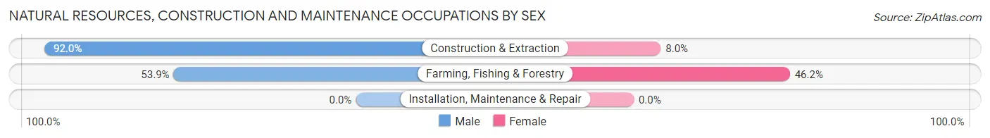 Natural Resources, Construction and Maintenance Occupations by Sex in Zip Code 59858