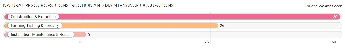 Natural Resources, Construction and Maintenance Occupations in Zip Code 59858