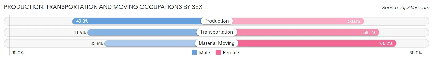 Production, Transportation and Moving Occupations by Sex in Zip Code 59875
