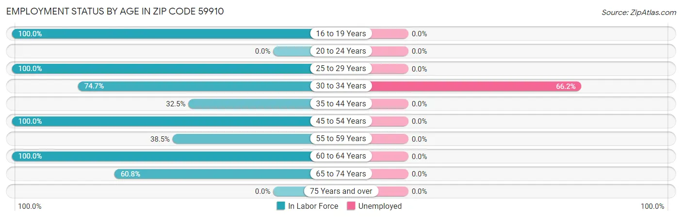 Employment Status by Age in Zip Code 59910
