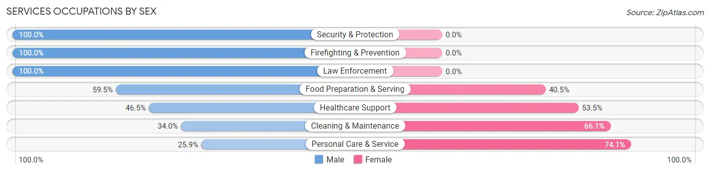 Services Occupations by Sex in Zip Code 60005