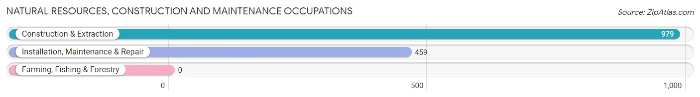 Natural Resources, Construction and Maintenance Occupations in Zip Code 60018