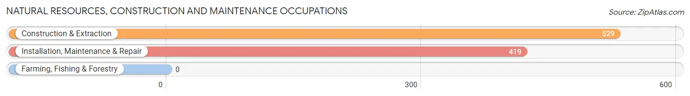 Natural Resources, Construction and Maintenance Occupations in Zip Code 60030