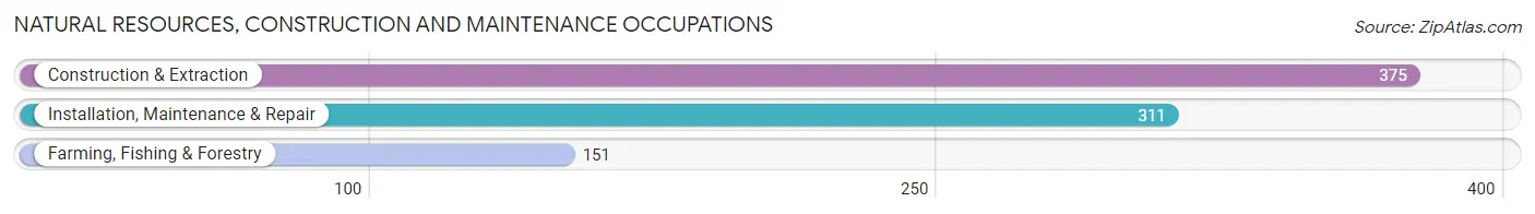 Natural Resources, Construction and Maintenance Occupations in Zip Code 60033