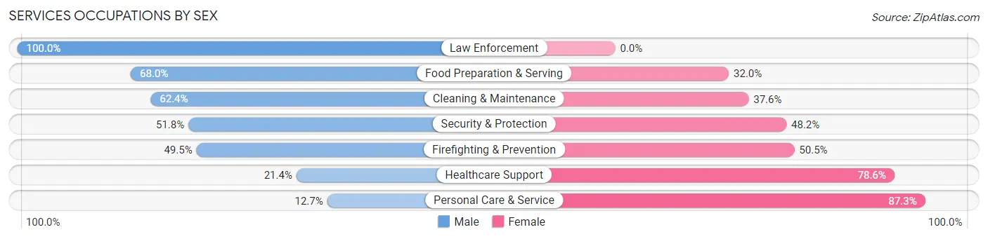 Services Occupations by Sex in Zip Code 60035