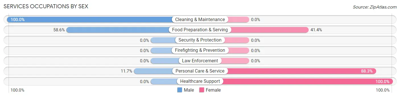 Services Occupations by Sex in Zip Code 60041