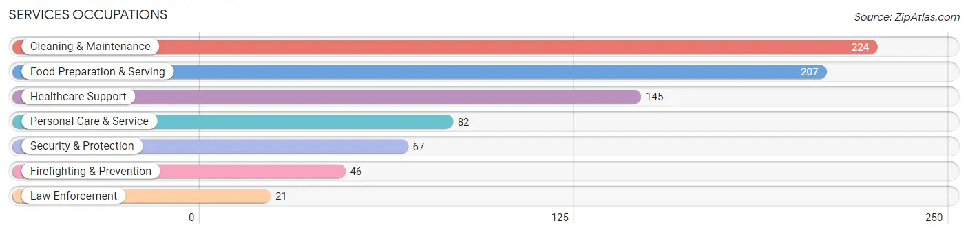 Services Occupations in Zip Code 60042