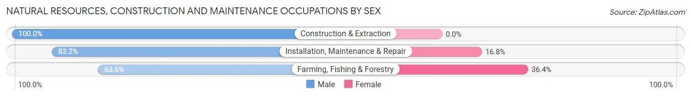 Natural Resources, Construction and Maintenance Occupations by Sex in Zip Code 60074
