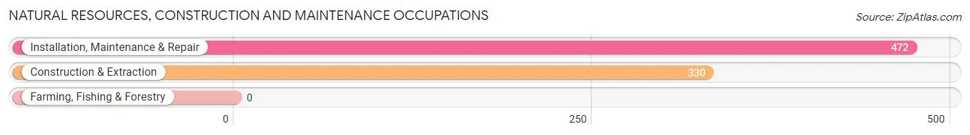 Natural Resources, Construction and Maintenance Occupations in Zip Code 60084