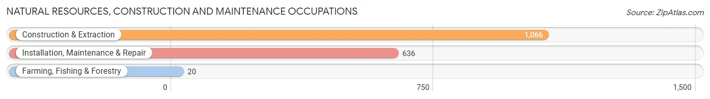 Natural Resources, Construction and Maintenance Occupations in Zip Code 60090