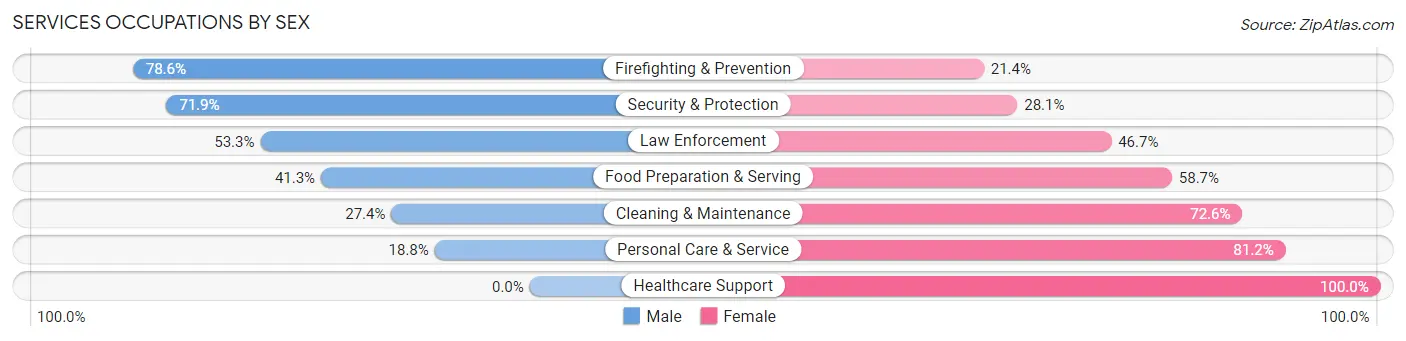 Services Occupations by Sex in Zip Code 60091