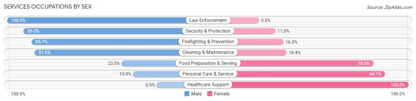 Services Occupations by Sex in Zip Code 60096