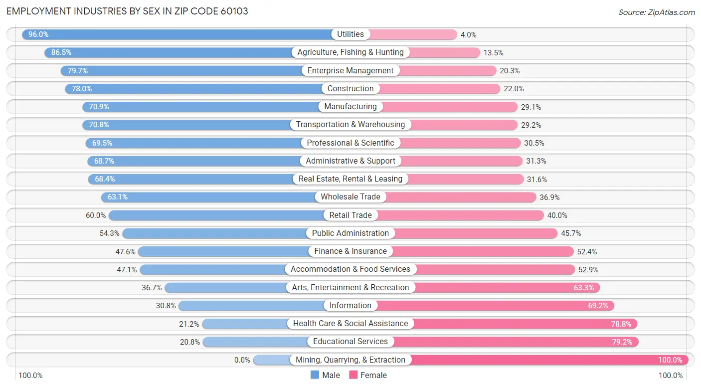 Employment Industries by Sex in Zip Code 60103