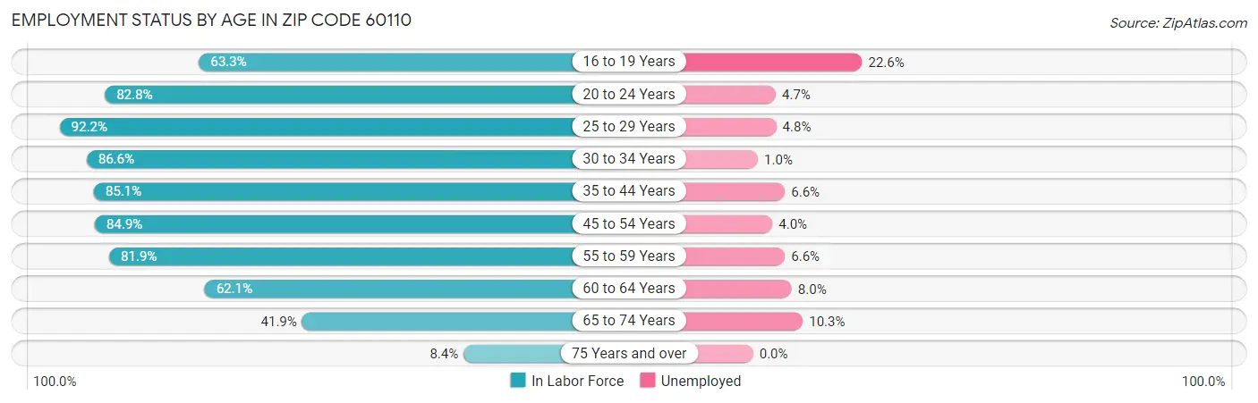 Employment Status by Age in Zip Code 60110