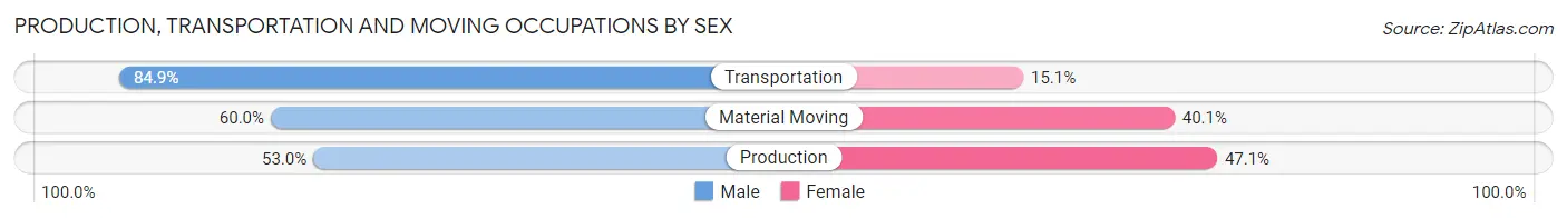 Production, Transportation and Moving Occupations by Sex in Zip Code 60110