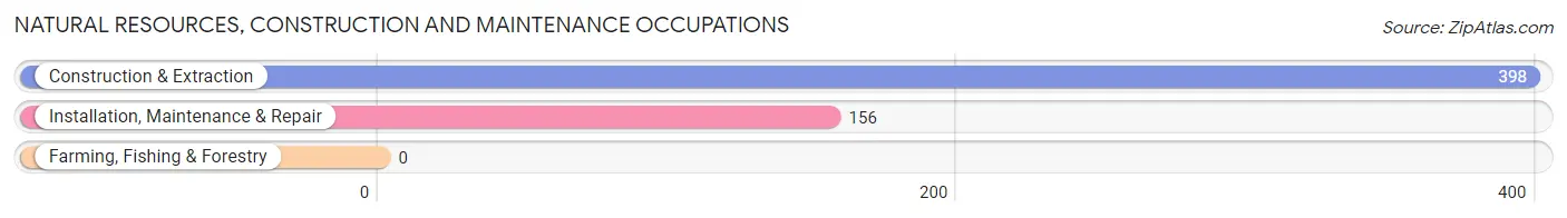 Natural Resources, Construction and Maintenance Occupations in Zip Code 60118