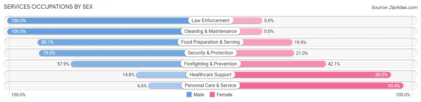 Services Occupations by Sex in Zip Code 60130