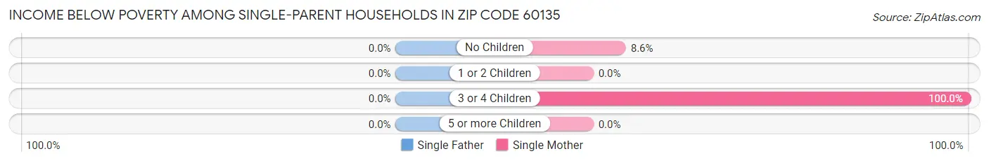 Income Below Poverty Among Single-Parent Households in Zip Code 60135