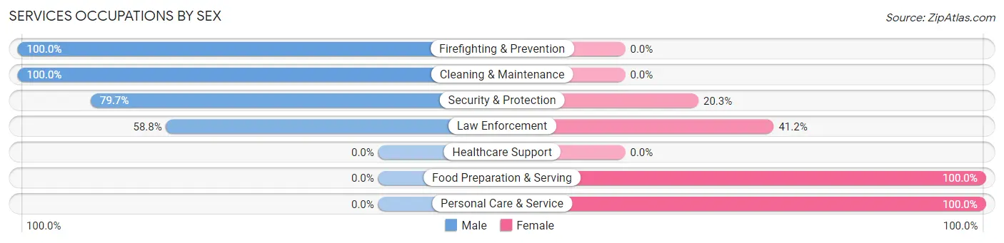 Services Occupations by Sex in Zip Code 60136