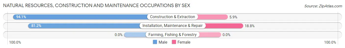 Natural Resources, Construction and Maintenance Occupations by Sex in Zip Code 60137