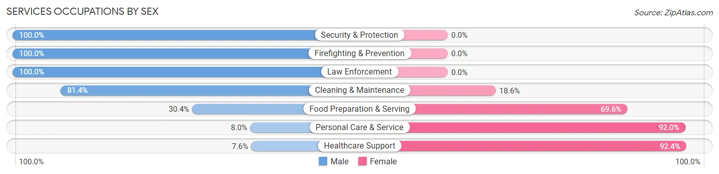 Services Occupations by Sex in Zip Code 60140