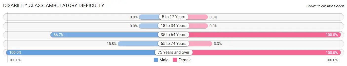 Disability in Zip Code 60141: <span>Ambulatory Difficulty</span>