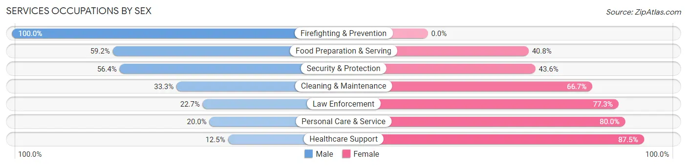 Services Occupations by Sex in Zip Code 60145