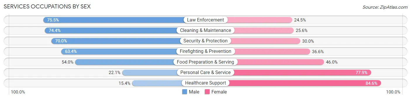 Services Occupations by Sex in Zip Code 60148