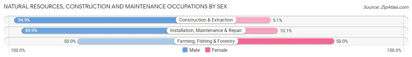 Natural Resources, Construction and Maintenance Occupations by Sex in Zip Code 60153