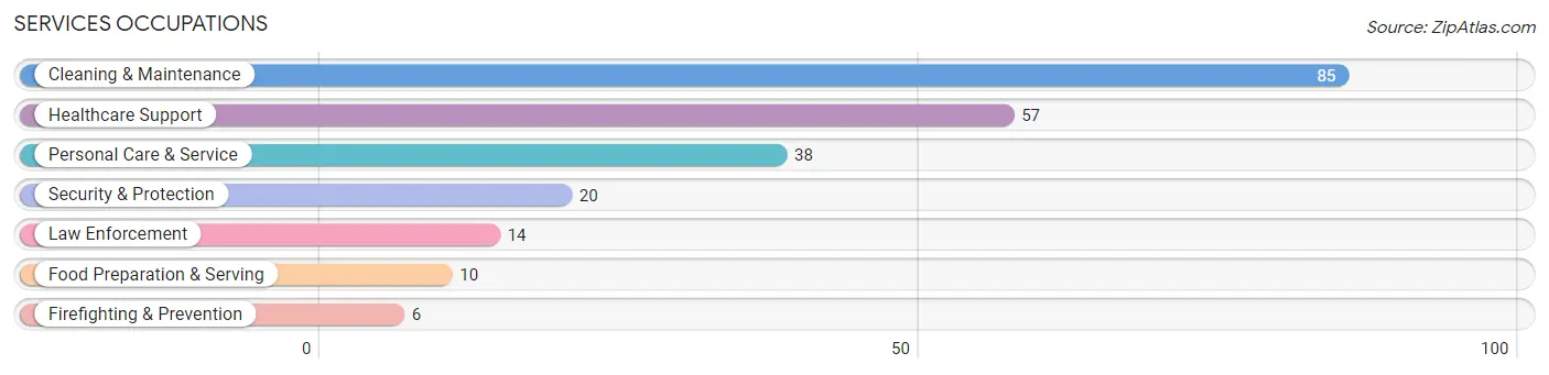 Services Occupations in Zip Code 60157