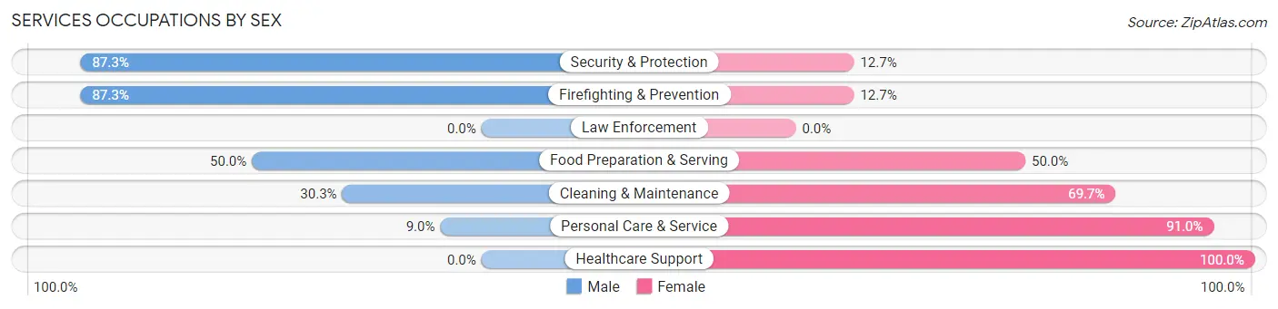 Services Occupations by Sex in Zip Code 60163