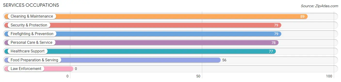 Services Occupations in Zip Code 60163