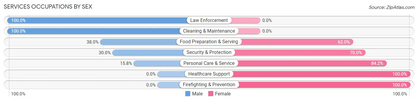 Services Occupations by Sex in Zip Code 60173