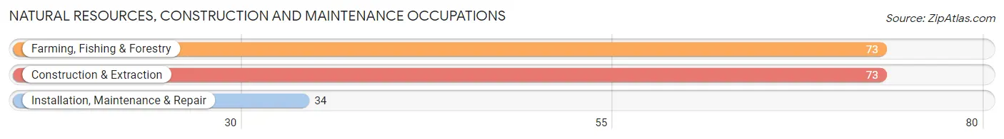 Natural Resources, Construction and Maintenance Occupations in Zip Code 60180