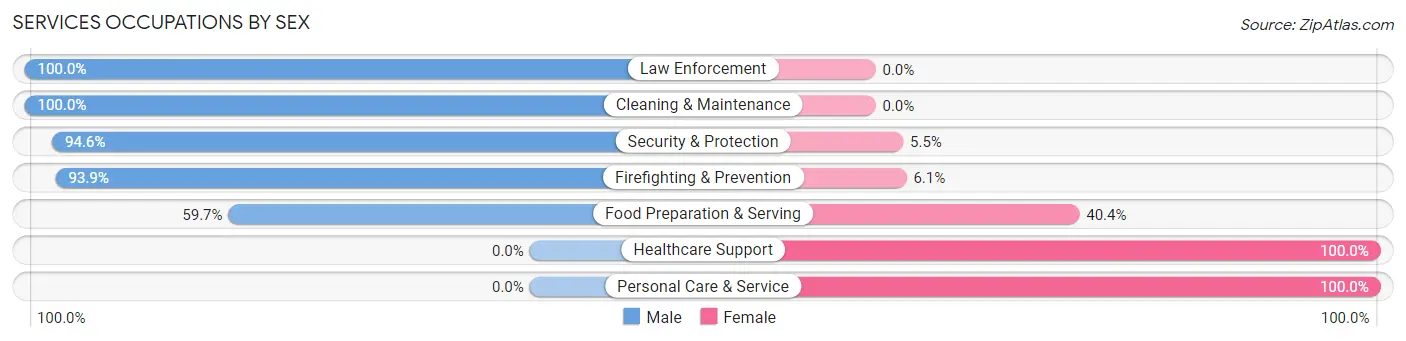 Services Occupations by Sex in Zip Code 60180